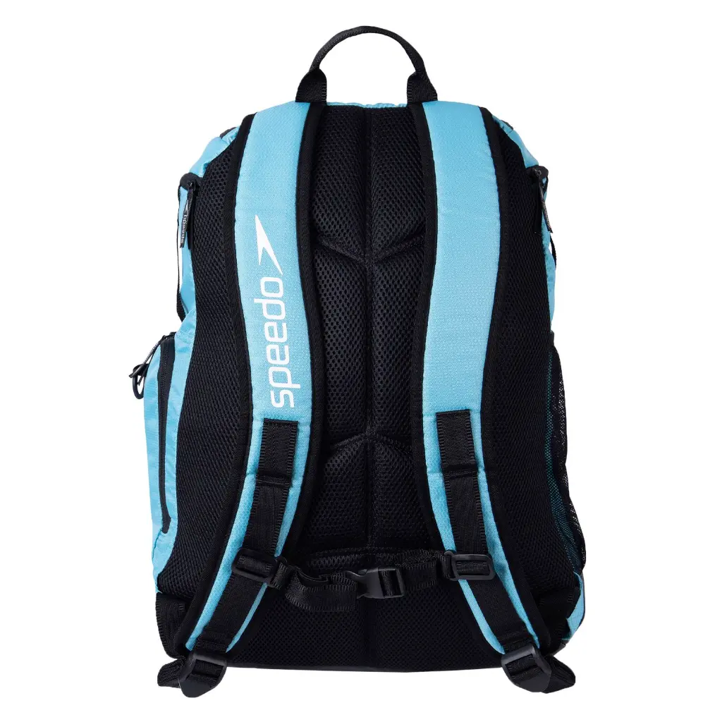 SPEEDO TEAMSTER TEAL 35C.webp